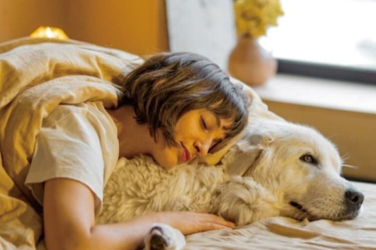 <b>目元の血行促進</b><br>
配合されているブラックシリカは非常に多くのミネラルと炭素を含んでおり、動植物の代謝、成長、生育に必要不可欠と言われている波長4～14μmの遠赤外線を高レベルで放射します。<br>
そのため電気や蒸気を一切使わず、日光浴のような自然なぬくもりで目まわりをじんわりと温め、心身をやさしくほぐしながら深いリラックスモードへと導きます。<br>