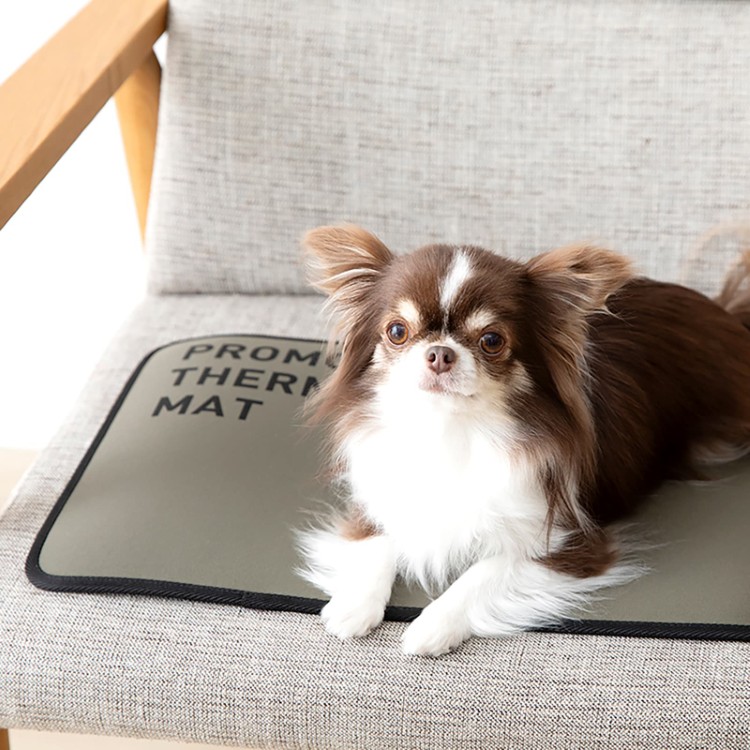 クレアーレ　PROMO THERMO MAT for Pets　S/M/L/Fサイズ　PTM-BP01SG
