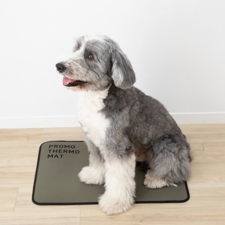 クレアーレ　PROMO THERMO MAT for Pets　S/M/L/Fサイズ　PTM-BP01SG