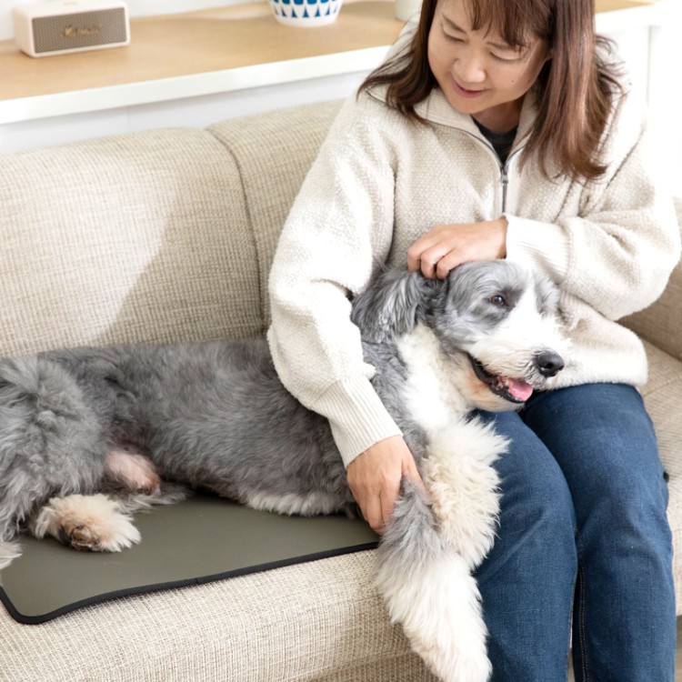 クレアーレ　PROMO THERMO MAT for Pets　S/M/L/Fサイズ　PTM-BP01SG
