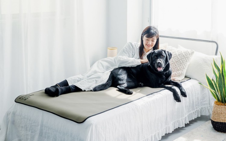 クレアーレ　PROMO THERMO MAT for Pets　S/M/L/Fサイズ　PTM-BP01SG