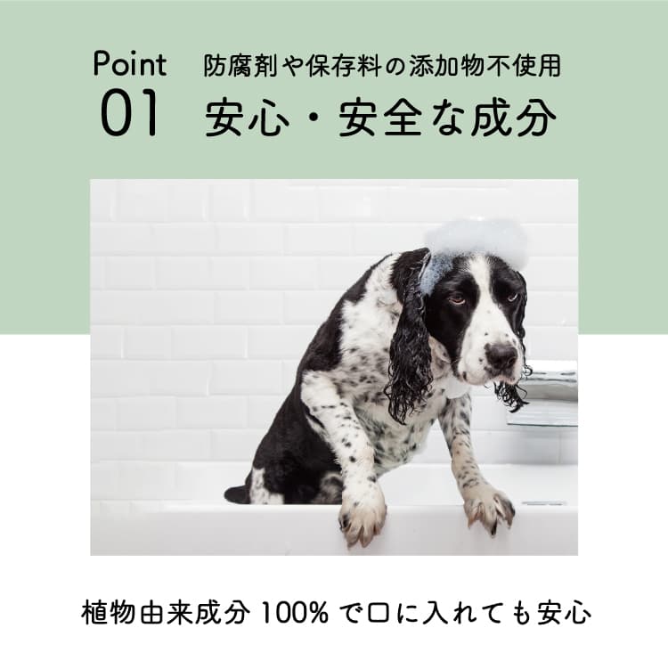 RIOTS ペット用石鹸 リオッツ