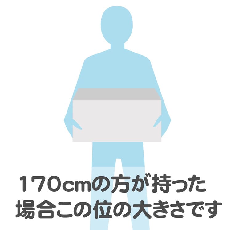 ポポンデッタ TOYOTA U55A形式コンテナ収納ボックス PFC-017