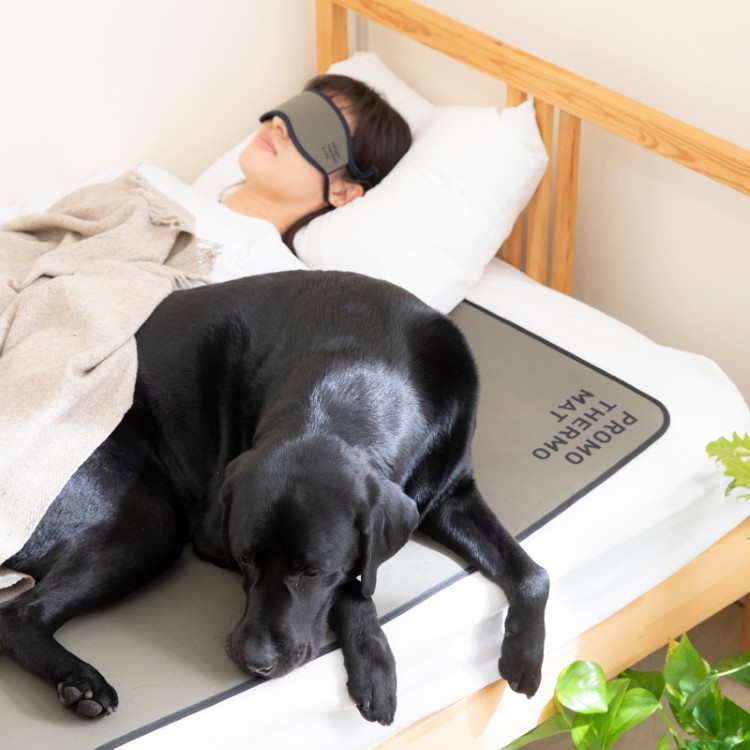 クレアーレ PROMOTHERMO EYES アイマスク 男女兼用フリー PTE-BH01UG