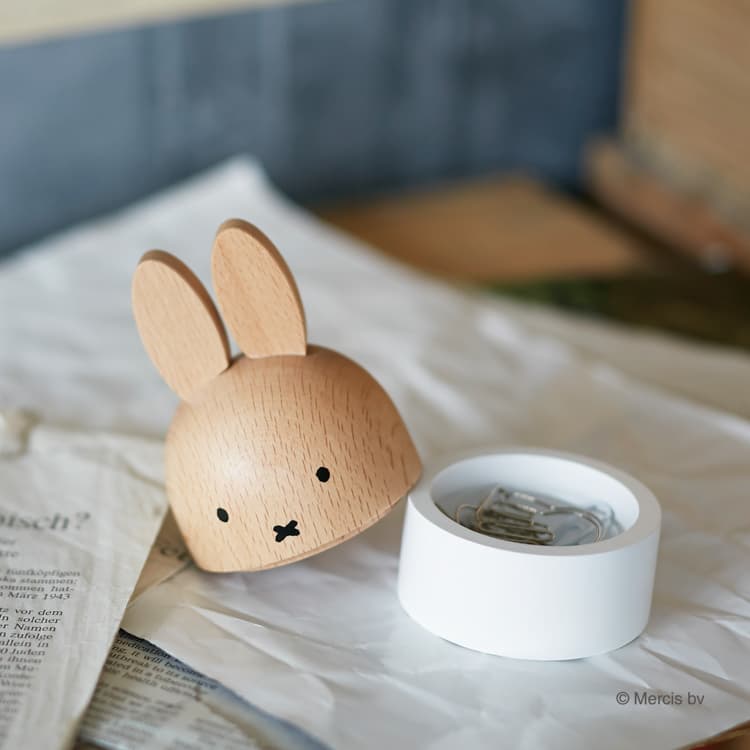 ニチガン ミッフィーケース MZ1