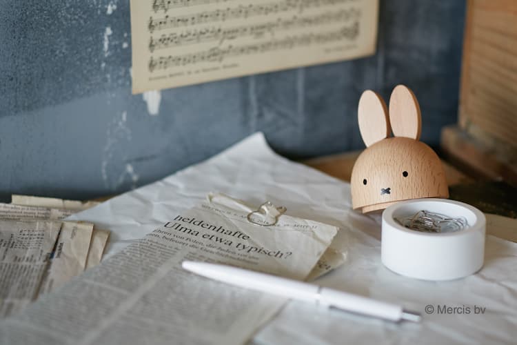 ニチガン ミッフィーケース MZ1