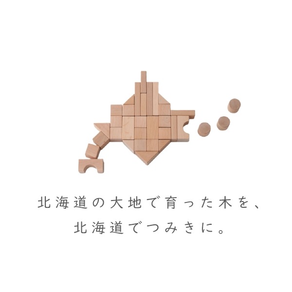 ニチガン 北海道だいちのつみき U21