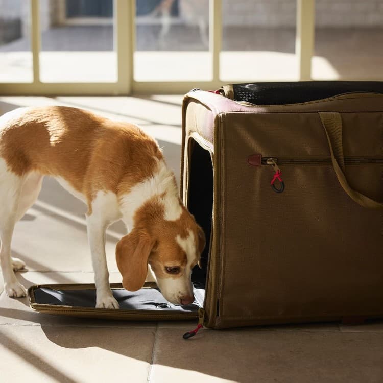 MANDARINE BROTHERS　Brixton CarryBackpack  -WIDE- ブリクストンキャリーバックパック ワイド 35011003