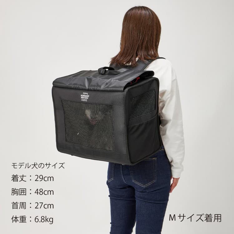 MANDARINE BROTHERS　Brixton CarryBackpack  -WIDE- ブリクストンキャリーバックパック ワイド 35011003