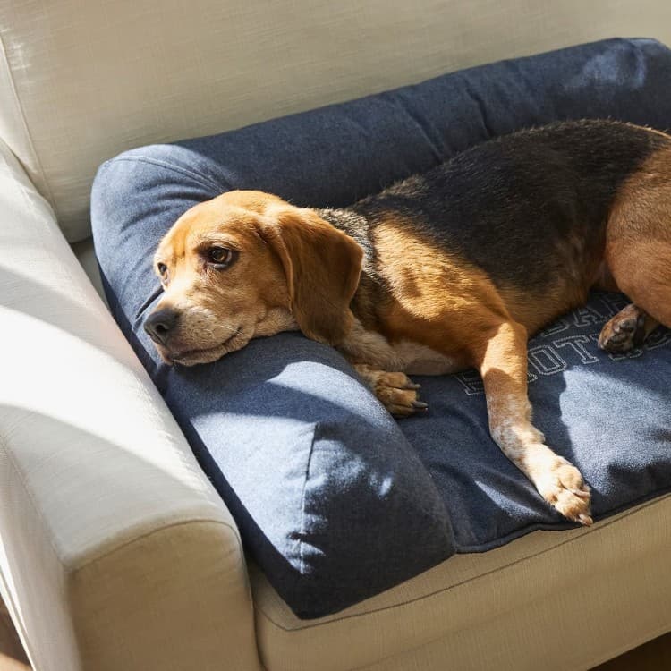 MANDARINE BROTHERS　Head Rest Bed ヘッドレストベッド 55061200