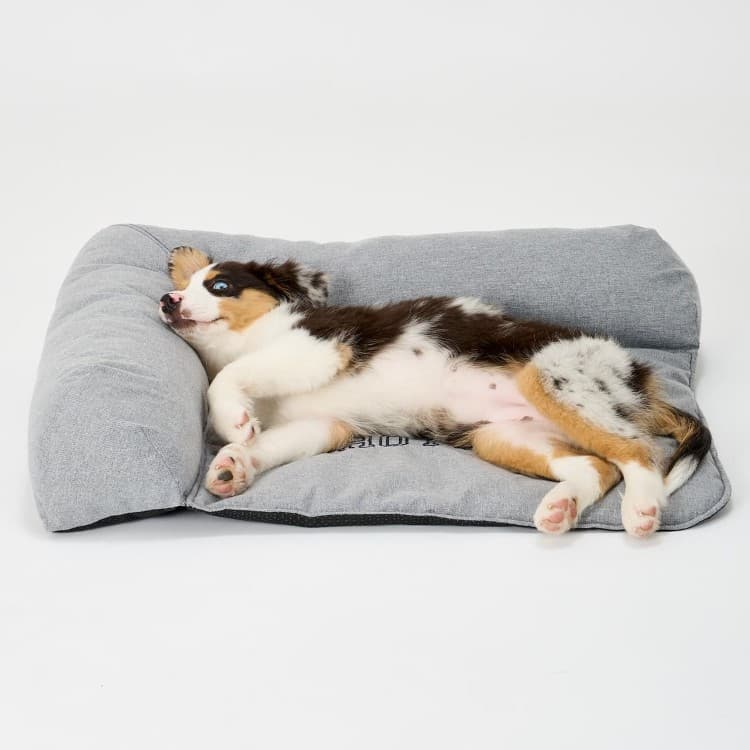 MANDARINE BROTHERS　Head Rest Bed ヘッドレストベッド 55061200