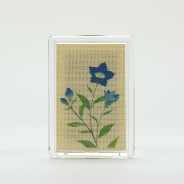 ふすま地マグネット -粟津義典画- 桔梗