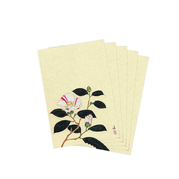 ポストカードセット日本画 粟津義典/白毫寺の椿(53)