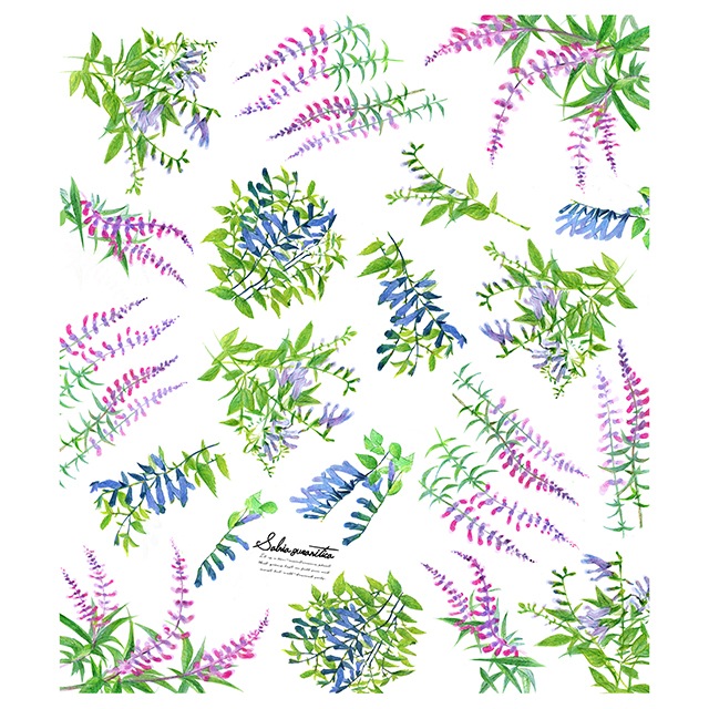 絵便りふきん　サルビアガラニチカ