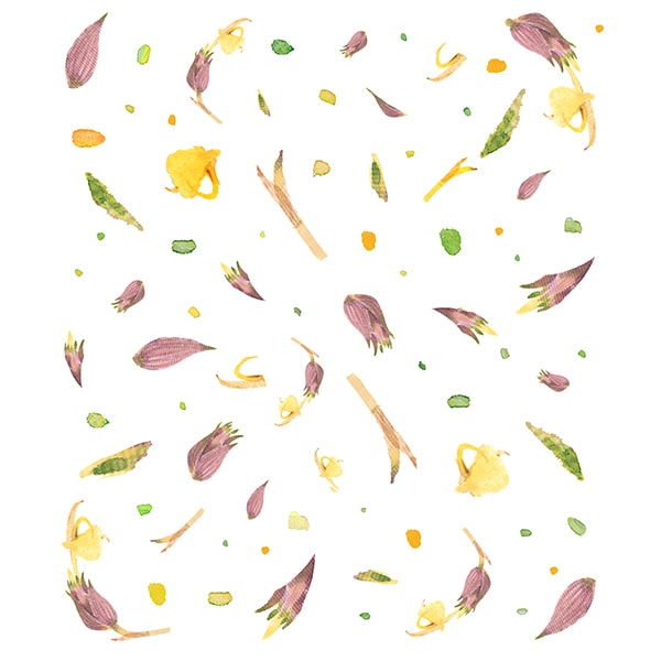 絵便りふきん 茗荷