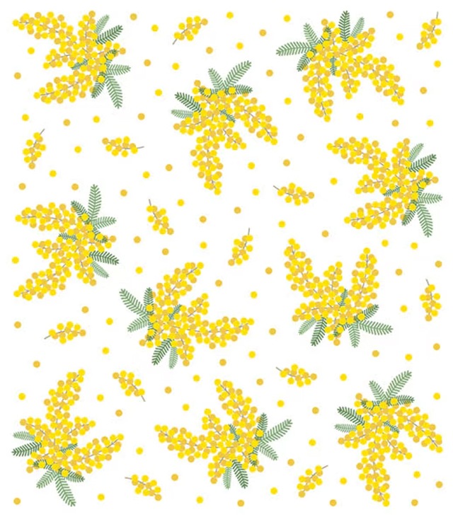 花ことば絵便りふきん　ミモザ「いつもありがとう」