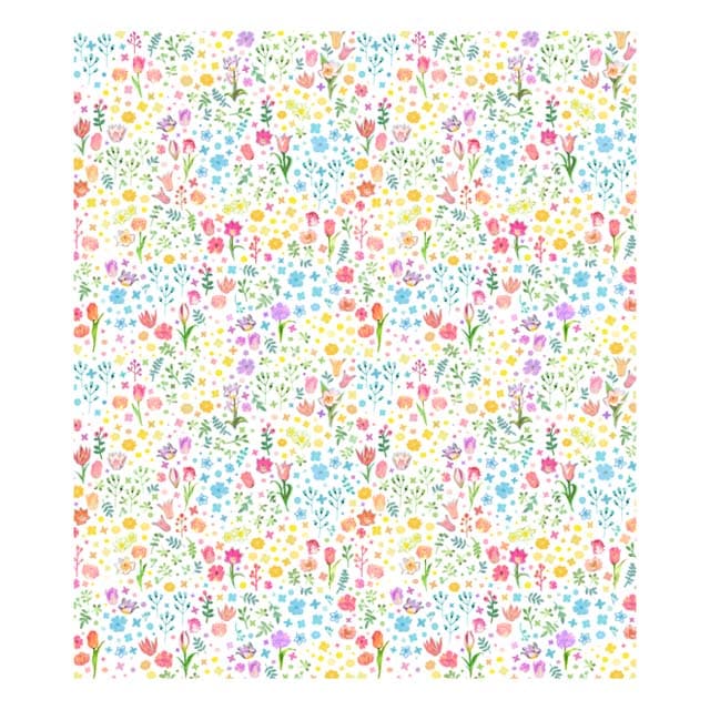 【ギフト】絵便りふきん５枚セット｜夏　＜箱入｜3,000円台＞