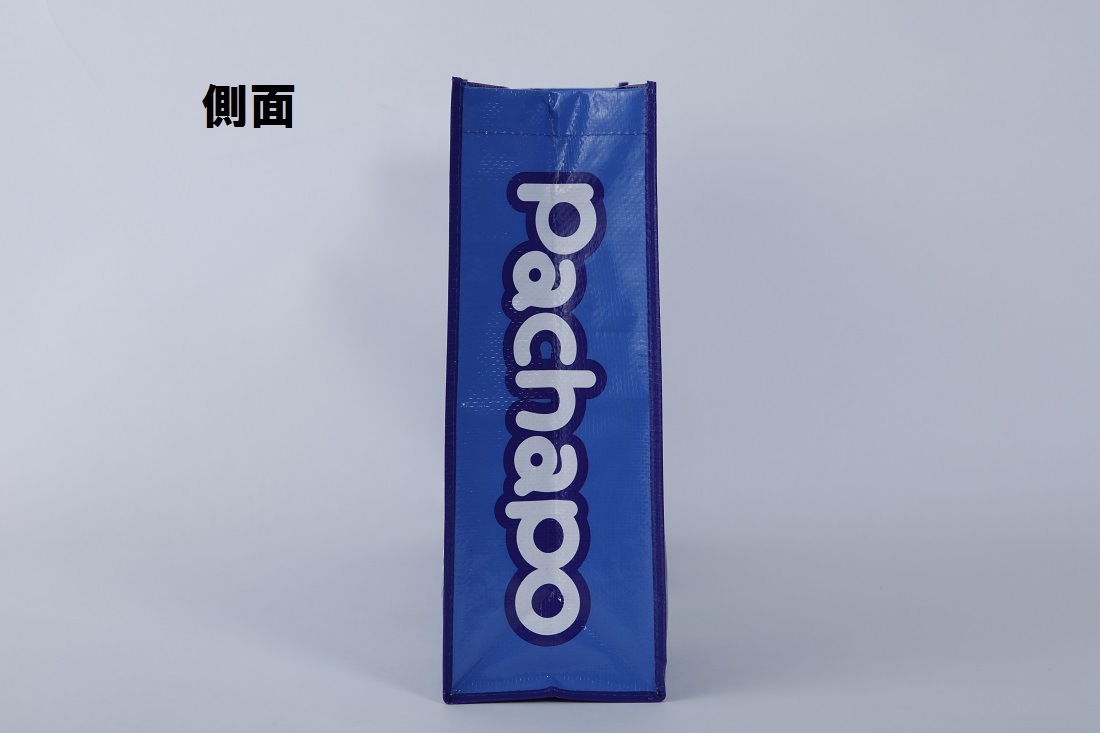 �Ѥ���ݥ쥸�㡼�����ȥȡ���