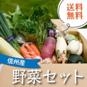 北原農園 春野菜セット （8品目以上詰め合わせ）
