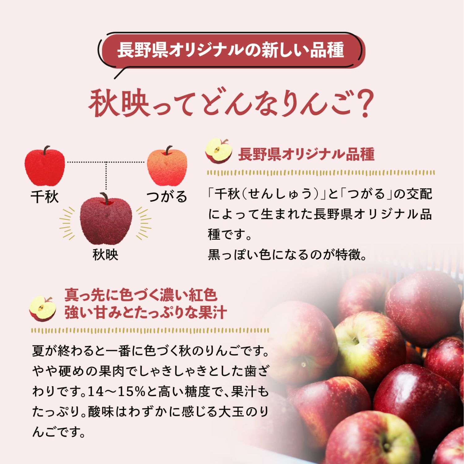 秋映様専用ページ ちょびゆずぷぅ様専用ページ 秋映 特大 農家直送 ちょびゆずぷぅ様専用