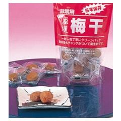 �ߴ��ʾ�̣����5ǯ�ˡ�20�ޥ��åȡ��ɺ����� ��￩ ��¸����