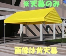 ��ŷ��Τߡۥ���ߥƥ���ѷ���ŷ�롡1.5�֡�2�֡�2.68����3.55���ˡ�NZT-152���ʷ��̥ݥꥨ���ƥ�600D���Хå�