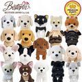 ��BESTEVER�۸� �̤������ �ꥢ�� �Ƹ� �������� �İ��� ��Υꥵ���� ���եȡ�Premium Puppy �ץ�ߥ���ѥԡ��ۥȥ��ס��ɥ� �ȥ��ס� ��å� ��ס� �ѥ� �ե����� ���ѥ� �Ƹ� ���� ����ʥ����� �ݥ��˥��� ����� ���å��� ���å������ѥ˥��� �������� �ޥ������ �ե����֥� �ӥ����