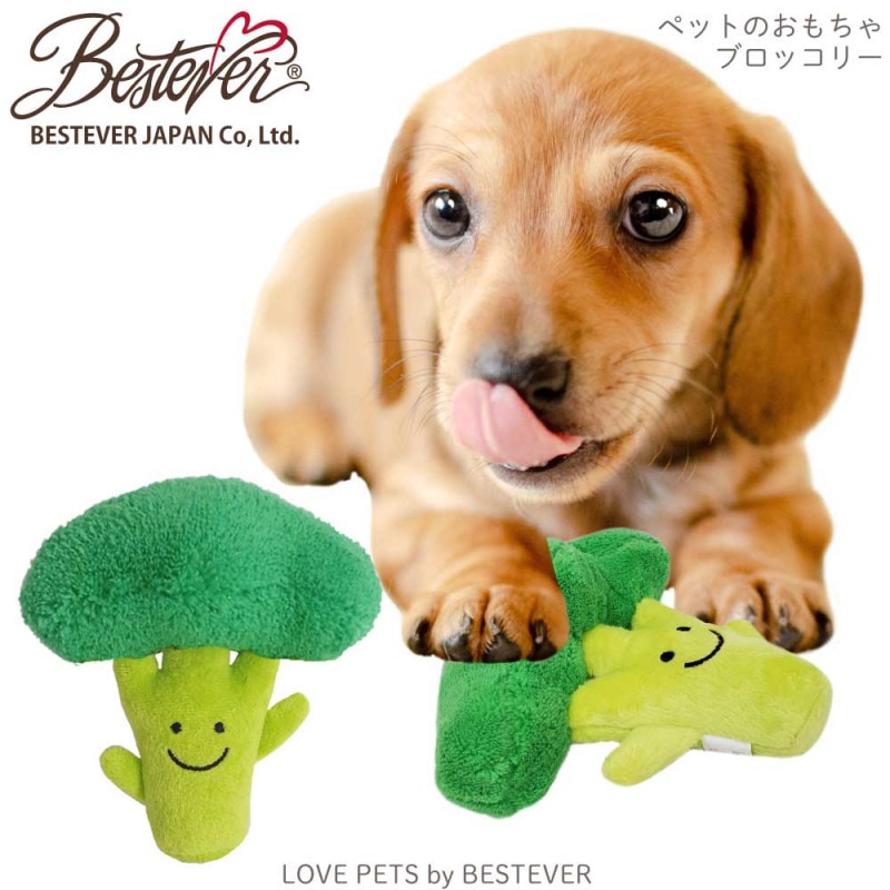 ��BESTEVER�ۡ���͵��۸� ������� �ڥåȥȥ� �����Ĥ� ����ͷ�� ���Ȼ��� ���ȥ쥹��á� LOVE PETS by BESTEVER ��֥ڥå� �Х� �٥��ȥ��С� �ۥ֥��å��꡼
