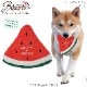 BESTEVER۸ ǭ  ڥåȥȥ 㥫 å Ĥ ȥ쥹 ͷ Ȼ֡LOVE PETS by BESTEVER ֥ڥåġ    Water Melon٥ȥСѥ