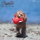 BESTEVERۡ͵۸ ǭ  ڥåȥȥ Ĥ ͷ Ȼ ȥ쥹á LOVE PETS by BESTEVER ֥ڥå Х ٥ȥС    ȥѥ
