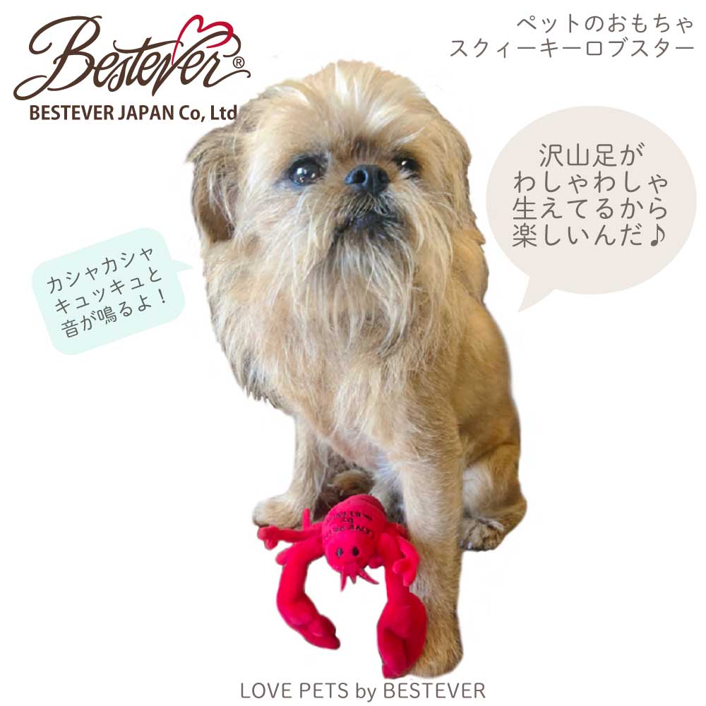 ��BESTEVER�ۡ���͵��۸� ǭ ������� �ڥåȥȥ� �����Ĥ� ����ͷ�� ���Ȼ��� ���ȥ쥹��� ���ꤰ��ߡ� LOVE PETS by BESTEVER ��֥ڥå� �Х� �٥��ȥ��С� �۳�Ϸ ���� ������Ϸ �������� ���֥�����