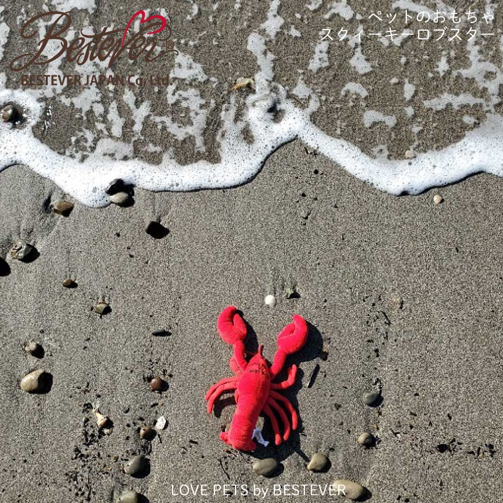 ��BESTEVER�ۡ���͵��۸� ǭ ������� �ڥåȥȥ� �����Ĥ� ����ͷ�� ���Ȼ��� ���ȥ쥹��� ���ꤰ��ߡ� LOVE PETS by BESTEVER ��֥ڥå� �Х� �٥��ȥ��С� �۳�Ϸ ���� ������Ϸ �������� ���֥�����