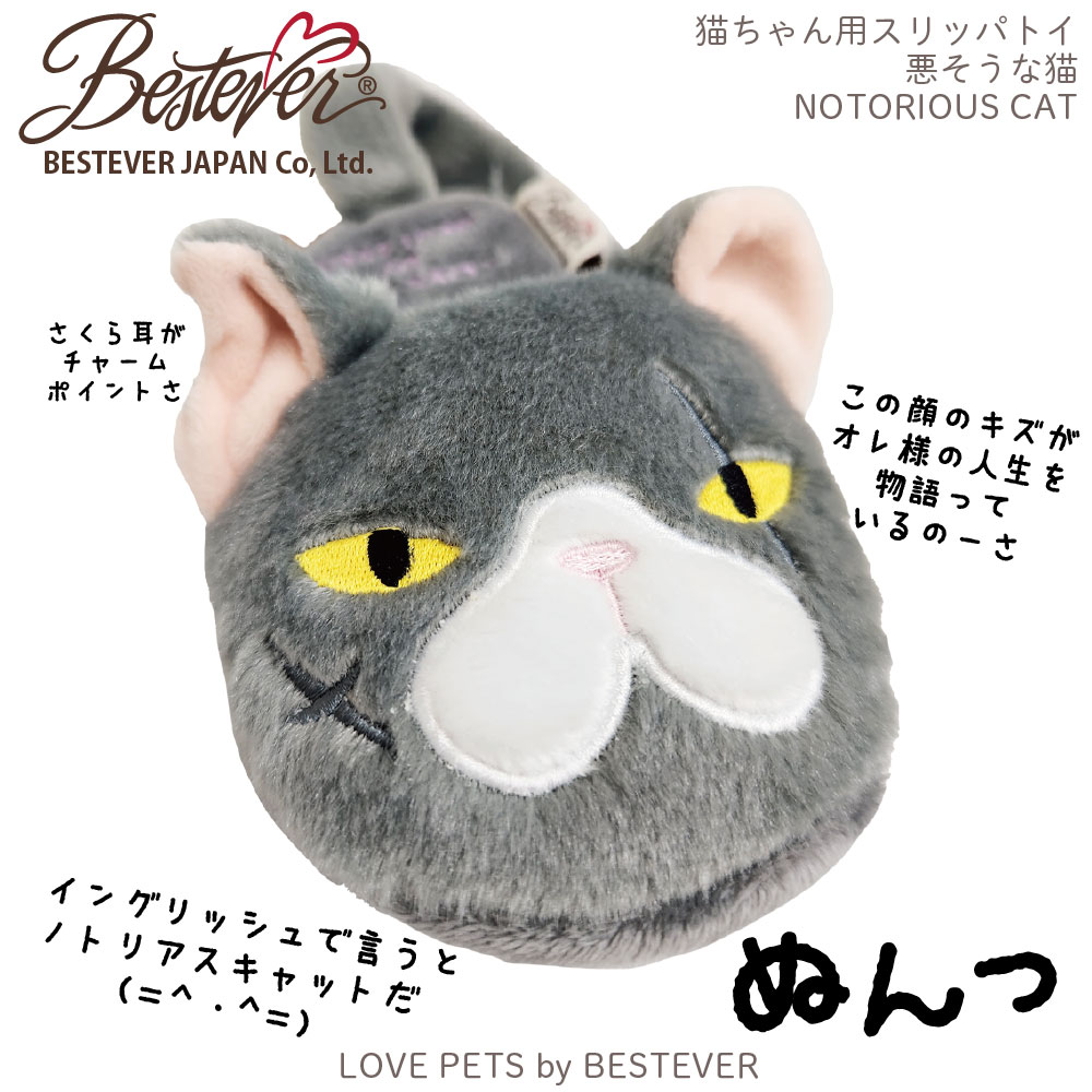 BESTEVER۸  ڥåȥȥ 㥫 å Ĥ ͷ  ͷ LOVE PETS by BESTEVER ֥ڥåġThinChewy åѥȥ ǭ ߥͥ ϥ å硼ȥإ ǭ ⤷ ѥǥ ٥ȥСѥ