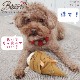 【BESTEVER】犬 猫 おもちゃ ペットトイ カシャカシャ キュッキュッ 音が鳴る ストレス解消 一緒に遊ぶ お家時間【LOVE PETS by BESTEVER ラブペッツ】タケノコ 筍 竹の子 たけのこ ノーズワーク 知育トイ オヤツポケット ベストエバージャパン
