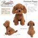 ��BESTEVER�۸� �̤������ �ꥢ�� ���¤� �İ���  ���ꥸ�ʥ�ǥ����� ������ ���ե� �ץ쥼��ȡ�Premium Puppy �ץ�ߥ���ѥԡ���25cmH �ס��ɥ��å� �ӥ����