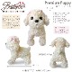 BESTEVER۸ ̤ ꥢ Ƹ  İ Υꥵ եȡPremium Puppy ץߥѥԡۥȥסɥ ȥס å ס ѥ ե ѥ Ƹ  ʥ ݥ˥  å åѥ˥  ޥ ե֥