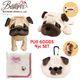 ��BESTEVER�ۥѥ� ���å� 4�����å� �� Pug �̤������ ������ �ޤ��� �ݡ��� �ڥ󥱡��� ����äȤ���  ���ե� �����ʡ����å�