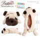 ��BESTEVER�ۥѥ� ���å� 4�����å� �� Pug �̤������ ������ �ޤ��� �ݡ��� �ڥ󥱡��� ����äȤ���  ���ե� �����ʡ����å�