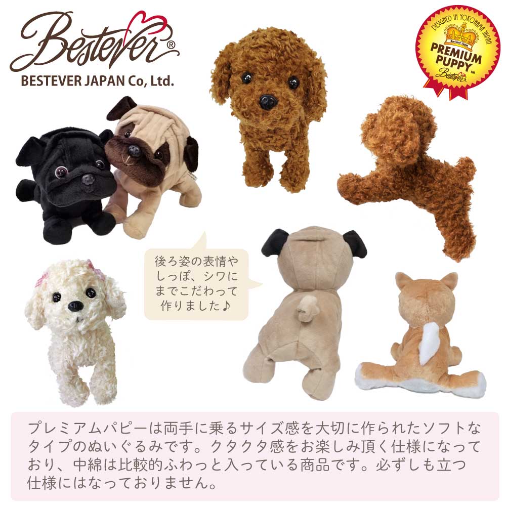 BESTEVER۸ ̤ ꥢ Ƹ  İ Υꥵ ꥸʥǥ  ե ץ쥼ȡ Premium Puppy ץߥѥԡ ٥ȥС BESTEVERۥåѥ˥