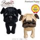 ��BESTEVER�۸� �̤������ �ꥢ�� �Ƹ� �������� ������ ���ե� �ץ쥼��ȡ� Premium Puppy �ץ�ߥ���ѥԡ� �٥��ȥ��С� �ۥѥ� �ե����� �֥�å��ѥ�