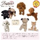 BESTEVER۸ ̤ ꥢ Ƹ  İ Υꥵ ꥸʥǥ  ե ץ쥼ȡ Premium Puppy ץߥѥԡۥʥ 졼 ֥å