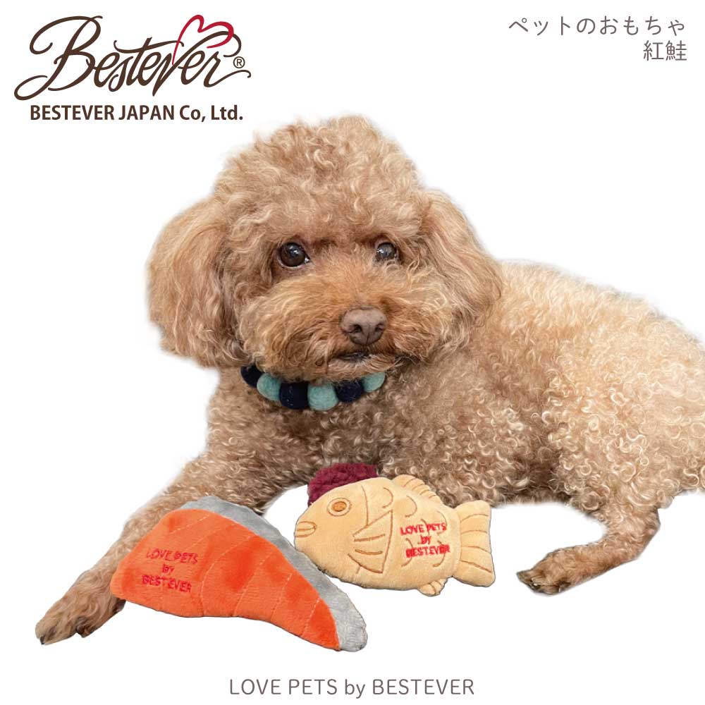 ��BESTEVER�۸� ������� �ڥåȥȥ� �����㥫���� ����å���� �����Ĥ� ͷ��  ����ͷ�֡�LOVE PETS by BESTEVER ��֥ڥåġۥ����Ƥ� �����䤭 ���⤷�� �ѥ��ǥ� �٥��ȥ��С�����ѥ�