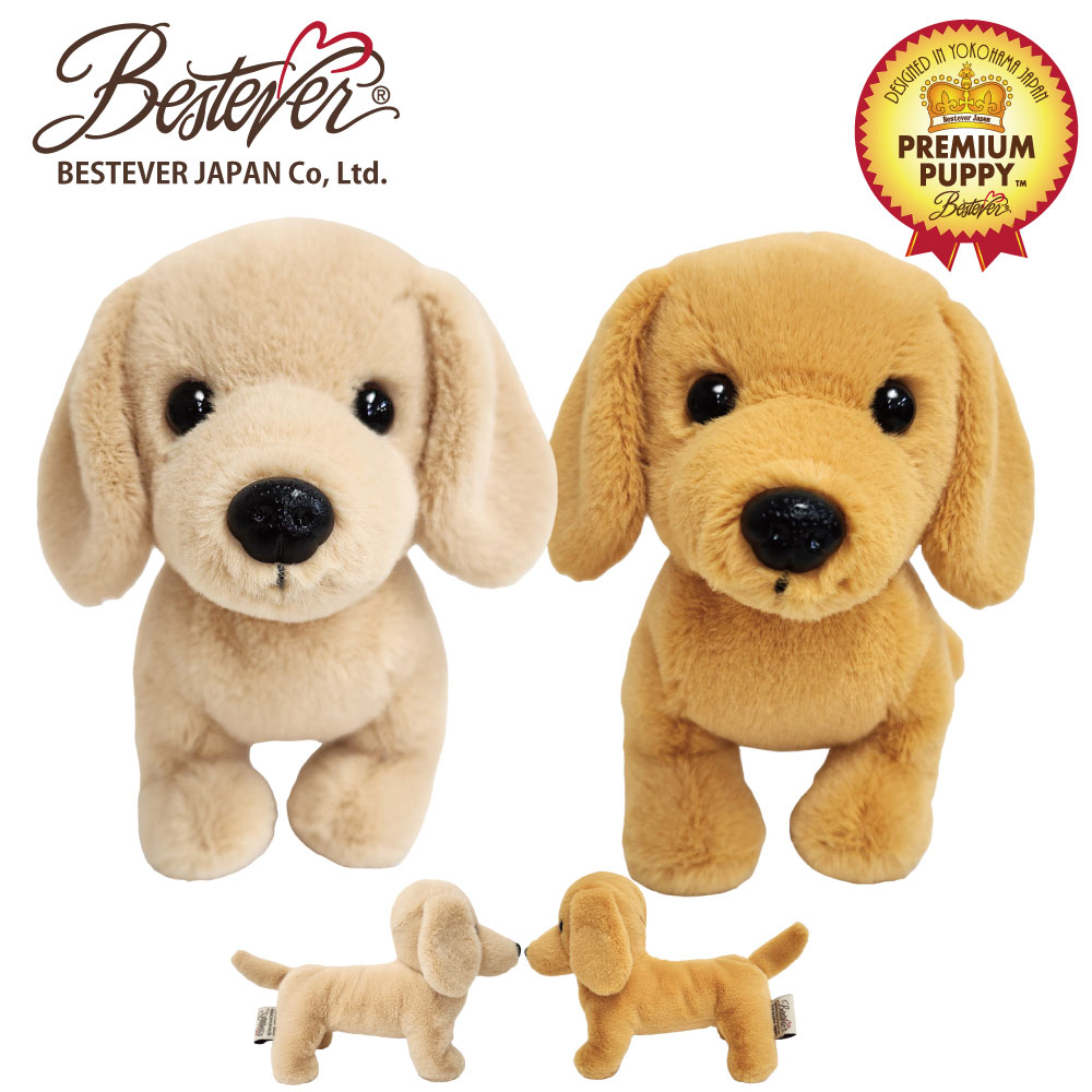 BESTEVER۸ ̤ ꥢ Ƹ   ե ץ쥼  Premium Puppy ץߥѥԡۥå ˥إ ࡼ ֥饦 