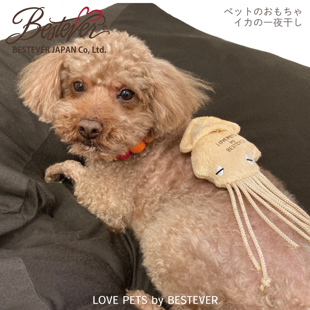 BESTEVER۸  ڥåȥȥ 㥫 å Ĥ ͷ  ͷ֡LOVE PETS by BESTEVER ֥ڥåġۥΰ봳  ⤷ ѥǥ ٥ȥСѥ
