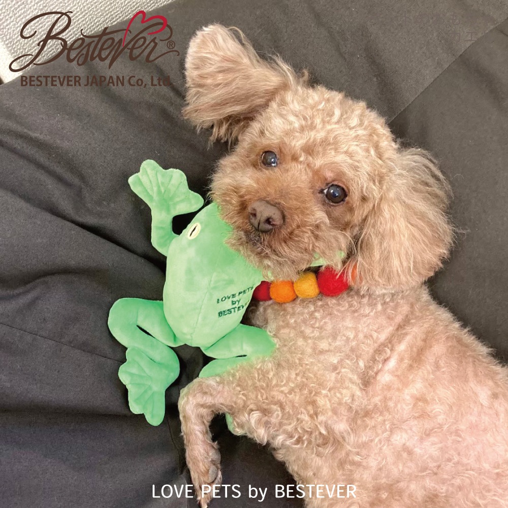 ��BESTEVER�۸� ������� �ڥåȥȥ� �����㥫���� ����å���� �����Ĥ� ͷ��  ����ͷ�֡�LOVE PETS by BESTEVER ��֥ڥåġۥ����롡���� ���⤷�� �ѥ��ǥ� �٥��ȥ��С�����ѥ�