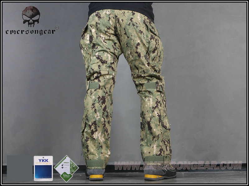 EMERSON CP G3ƥѥ ɥХ󥹥2017 Ver. AOR2 30