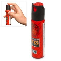 ����������ɺ��ޥ��ץ졼(L)