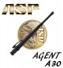 ASP���� ��������å� AGENT A30