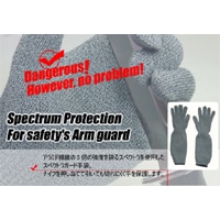 �ɿϥ������֡����ڥ��ȥ饢���६���ɼ��ޡ�SPGA�ץե꡼������