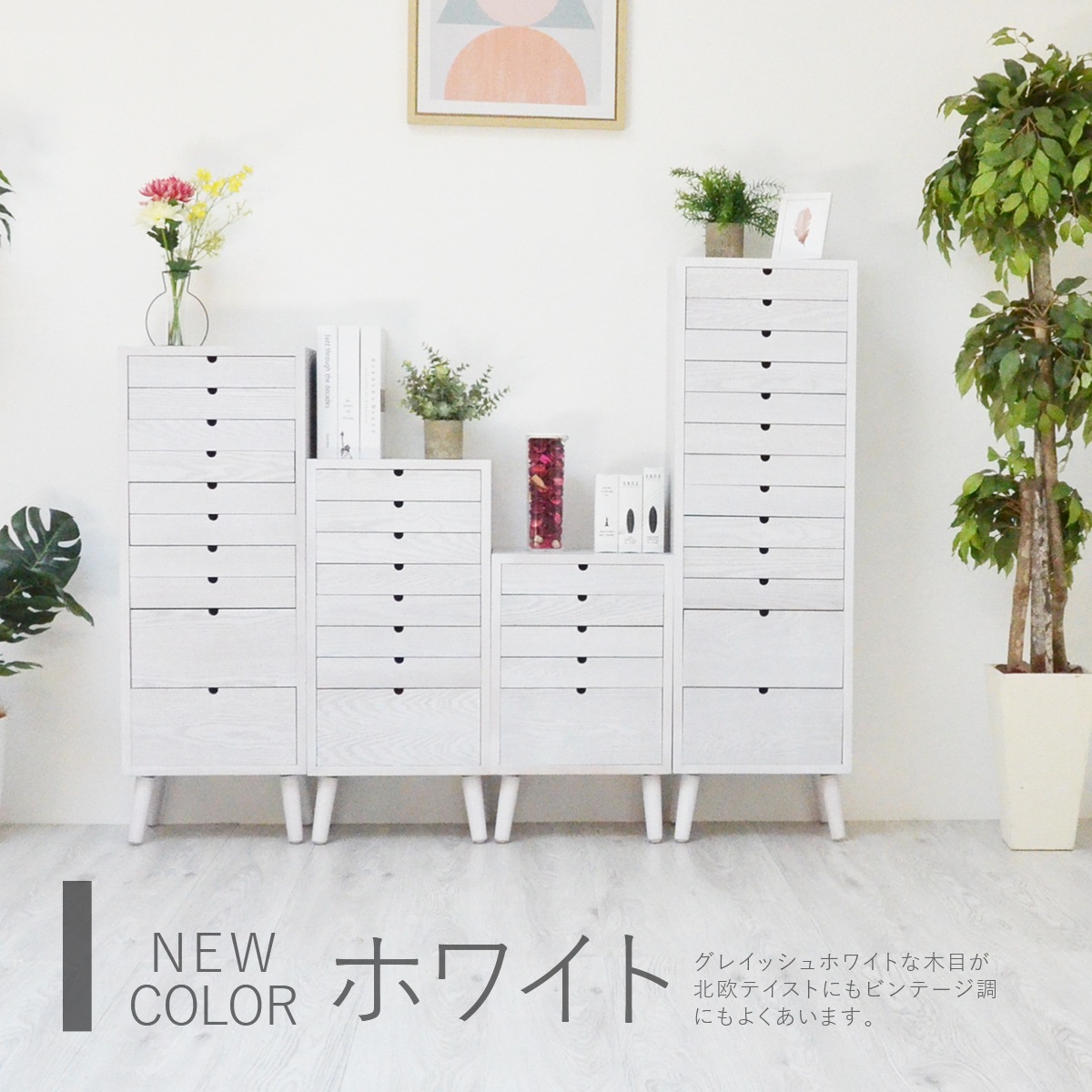 ������������ȡ�8�ʥ�����